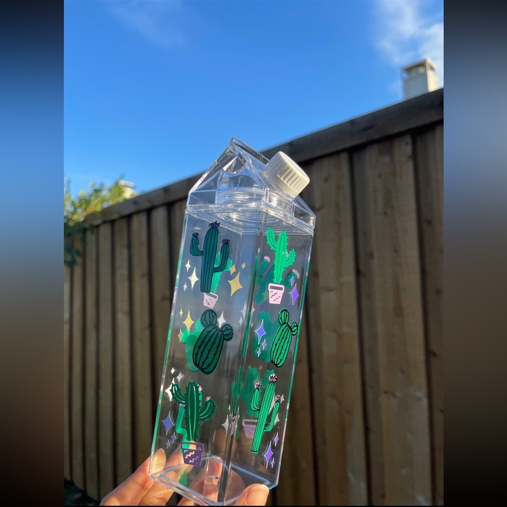 cactus milk carton water bottle - 17 oz